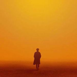 麻豆精品视频入口
