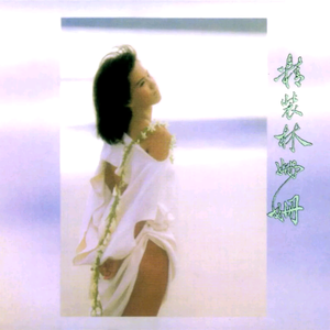 麻豆精品视频入口
