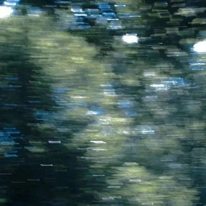 麻豆精品视频入口
