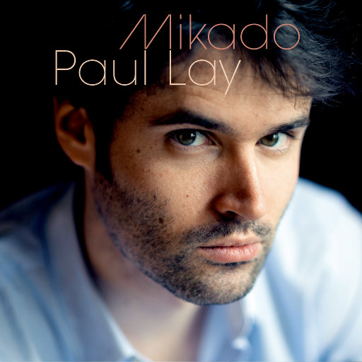 麻豆精品视频入口
